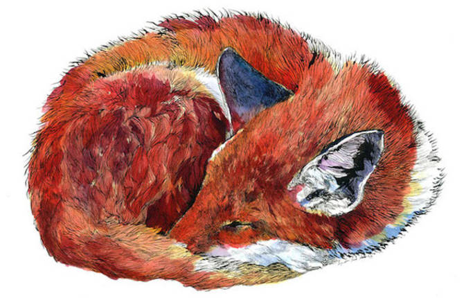 Watercolor Portraits of Animals in the Woods