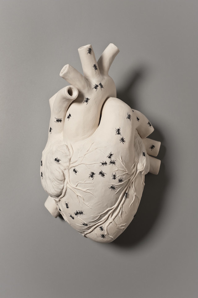 kate-macdowell_07