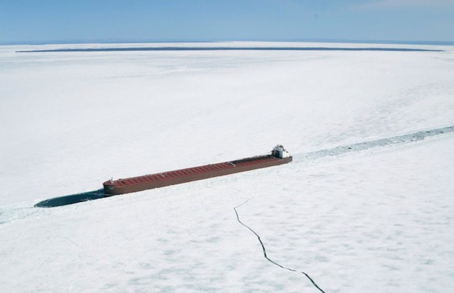 Trapped in Ice Photography