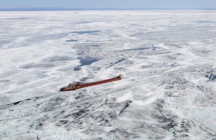 Trapped in Ice Photography