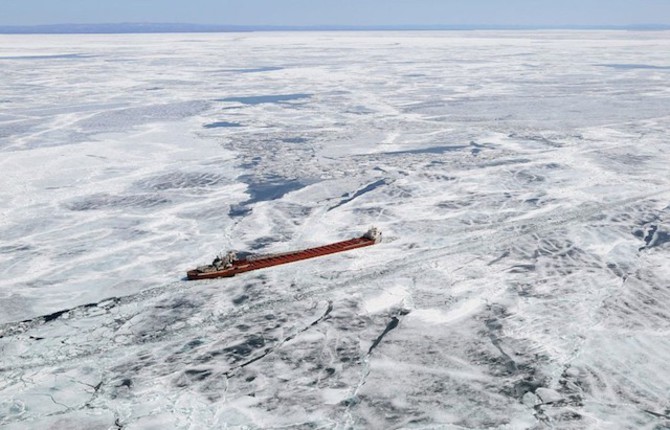 Trapped in Ice Photography