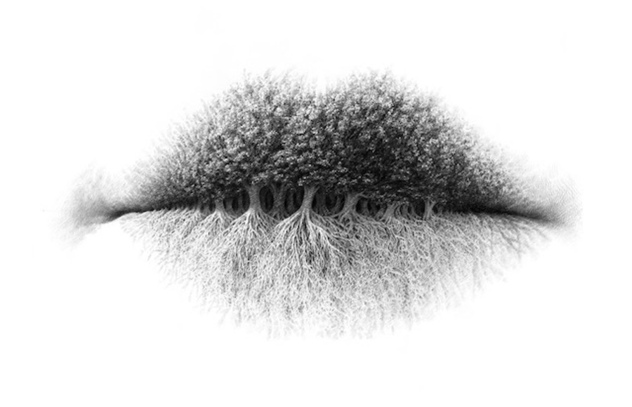 Surreal Pencil Drawings of Lips