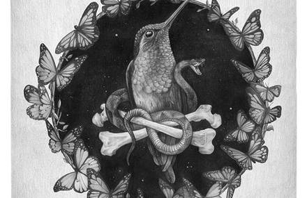 Illustrations