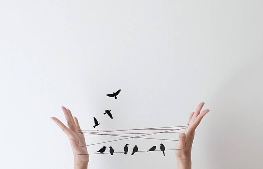 Creative and Playful Scenes