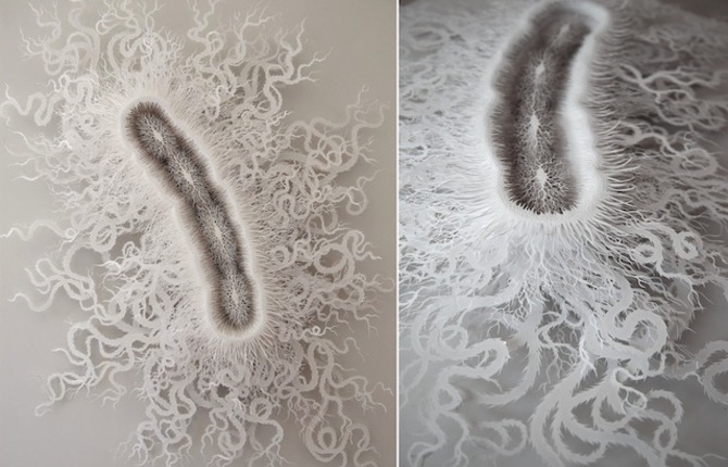 Laser-Cut Paper of Bacteria