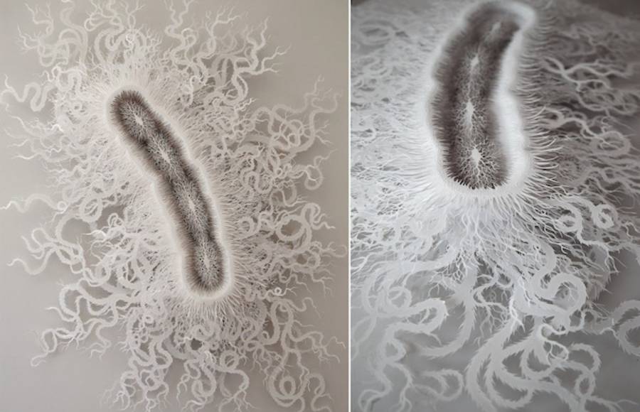 Laser-Cut Paper of Bacteria