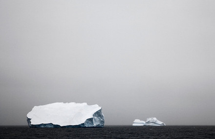 The Last Iceberg