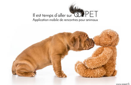 OOpet Love