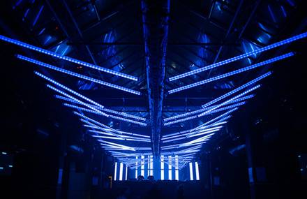 Kinetic sculpture « WINGS »