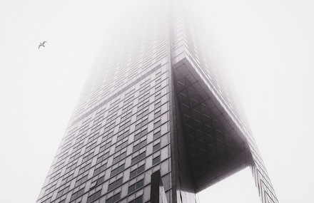 Birds Flying Over Foggy Cityscapes