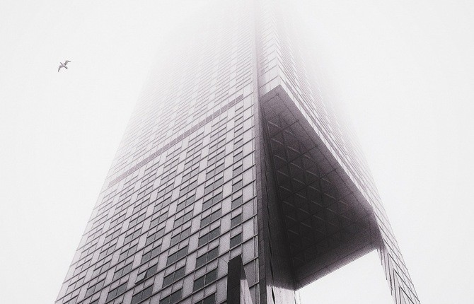 Birds Flying Over Foggy Cityscapes