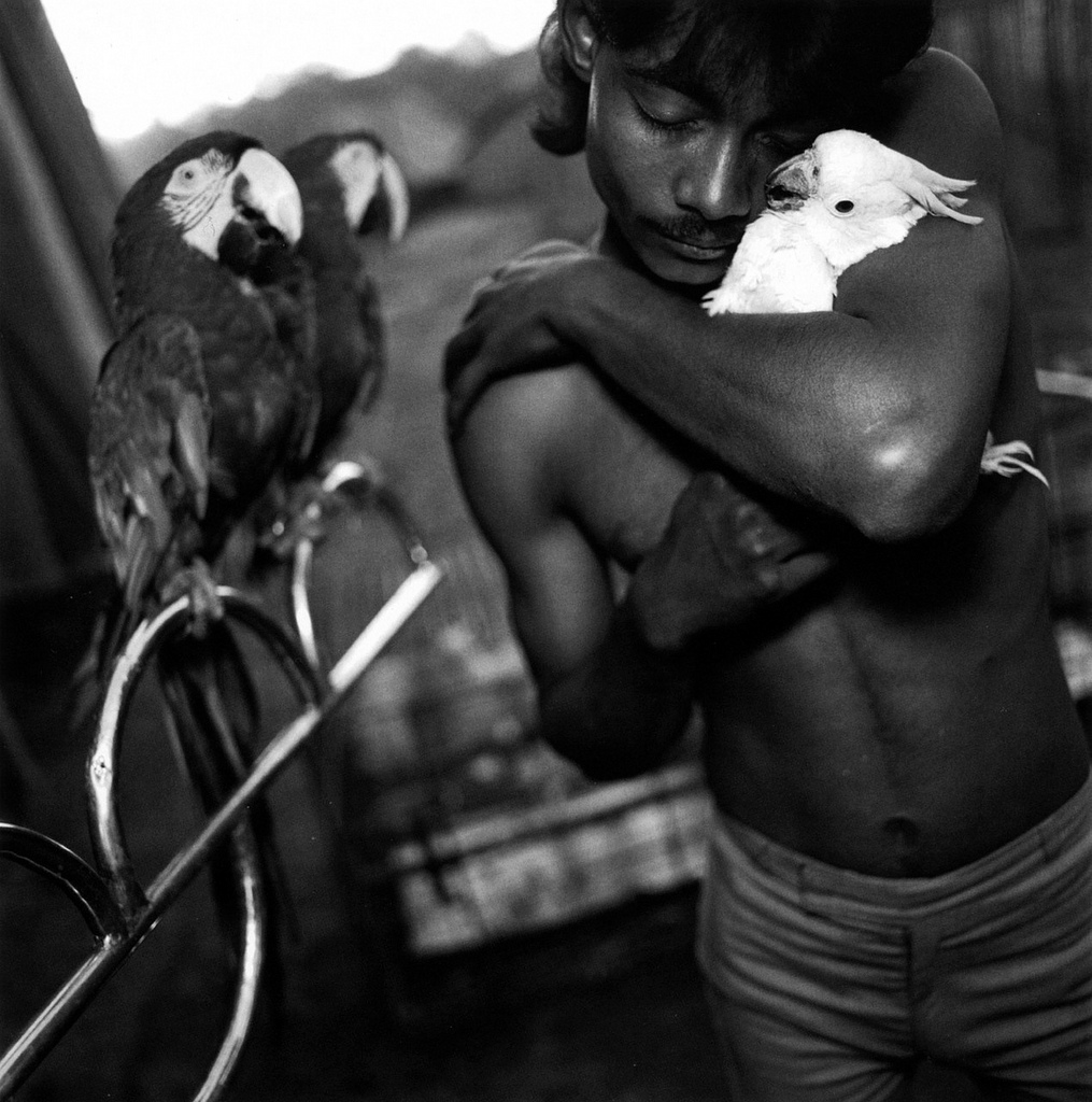 Boy with his Pet Cockatoo, Great Golden Circus, Ahmedabad, India, 1989