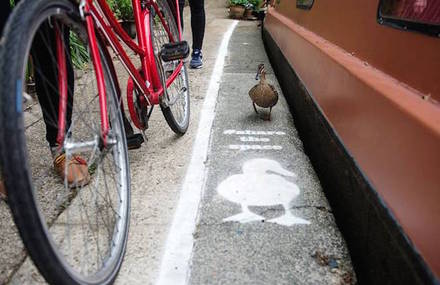 Special Lanes for Ducks