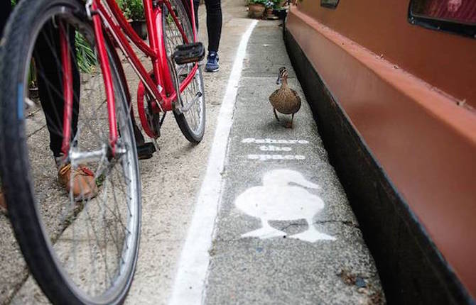 Special Lanes for Ducks