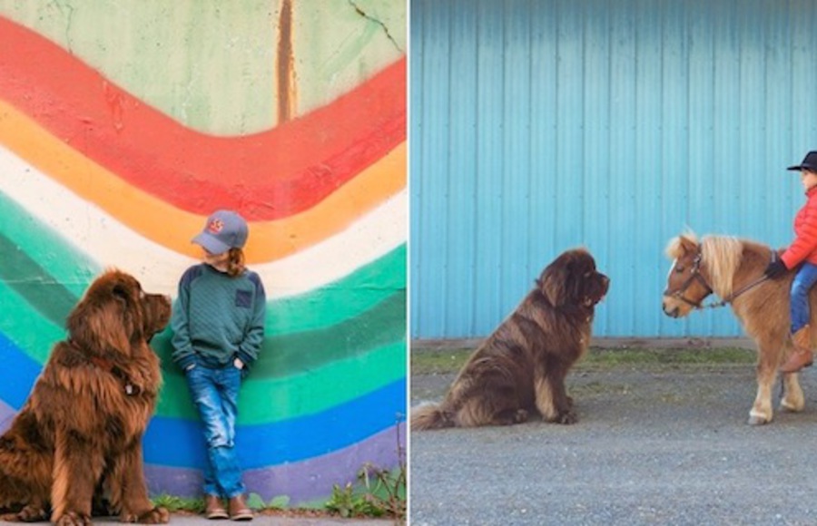 The Beautiful Relationship Between a Boy and his Pets