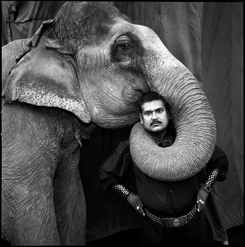 Ram Prakash Singh with His Elephant Shyama.Great Golden Circus, Ahmedabad, 1990