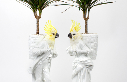 Porcelain Sculptures with Birds Heads