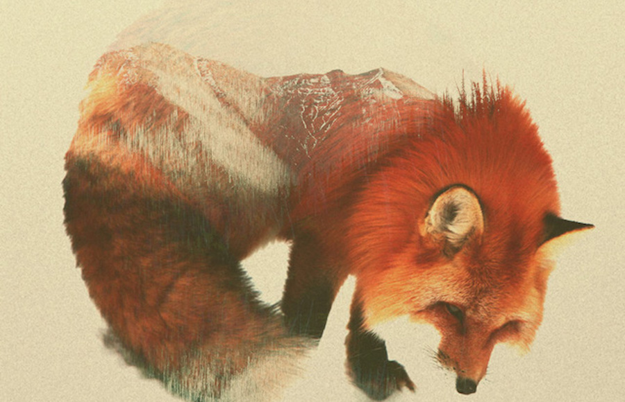 Double Exposure Animals