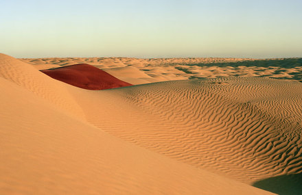 Red in the Landscape