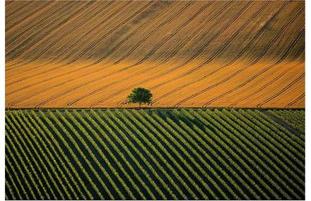 La terre vue du ciel