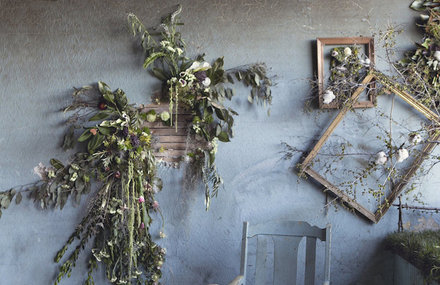 Abandoned Detroit House Filled by Flowers