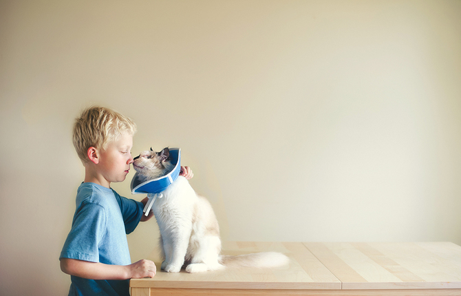 Friendship Between Three Little Boys and Two Cats