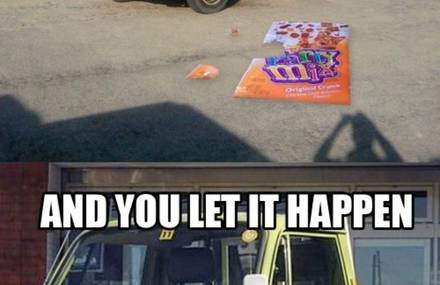 Guilty Dog Vs. Guilty Truck