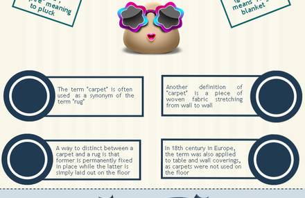 Interesting Facts About Carpets
