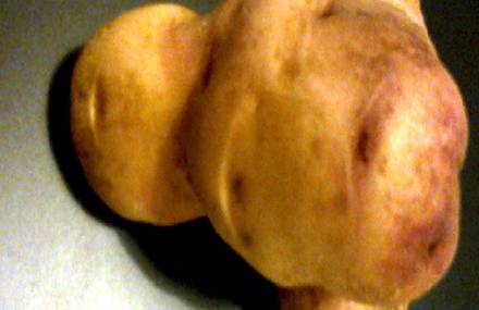 JUST A POTATO