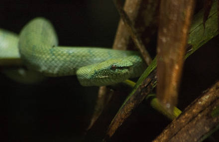 Malaysia