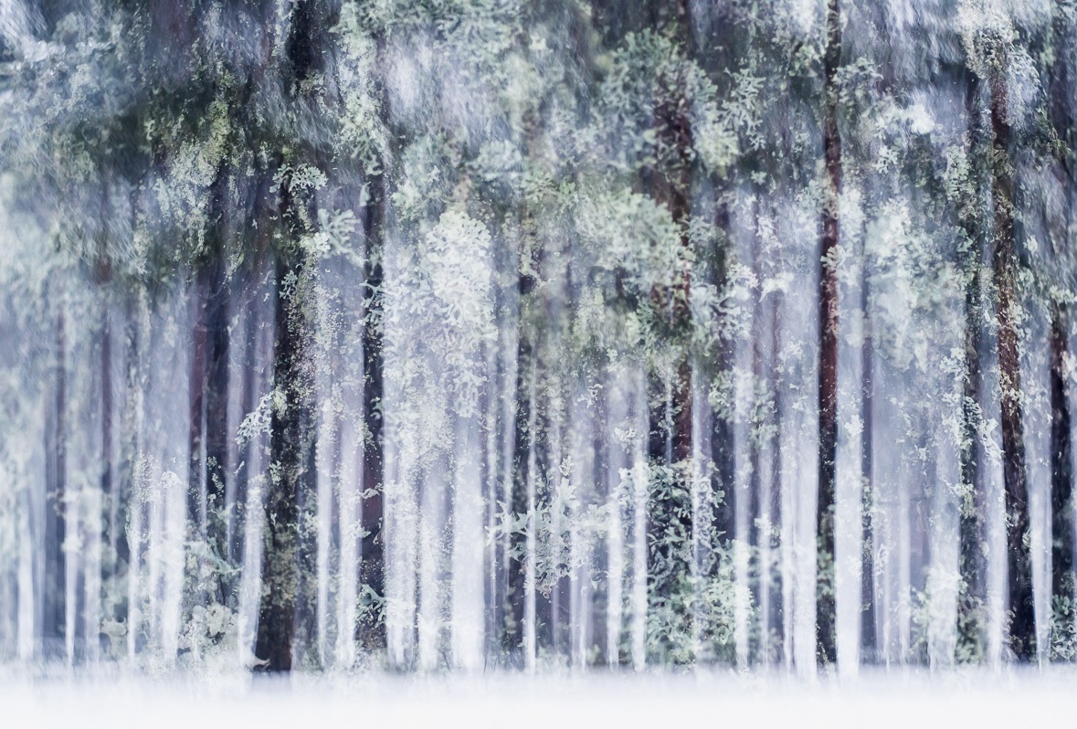 multipleexposures6