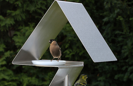 Birdhouses and Bird Baths Design