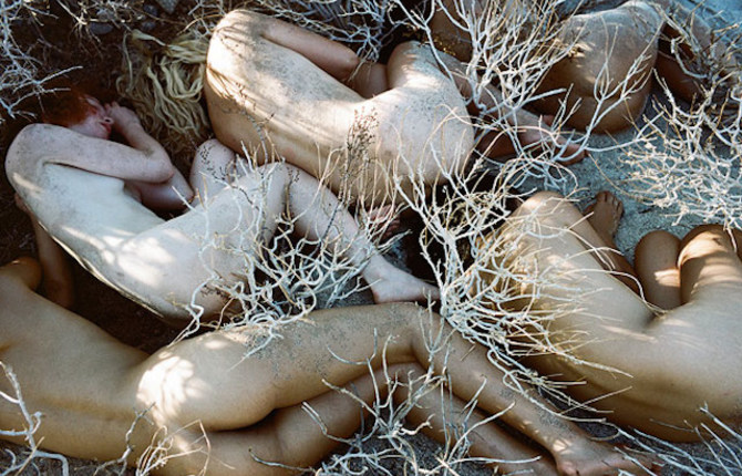 Overgrowth Project