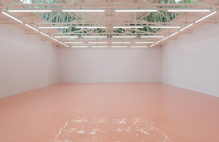 Immersive Installations by Pamela Rosenkranz