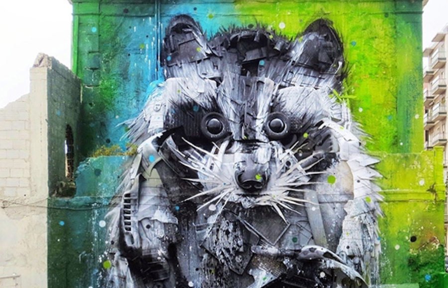 Big Raccoon 3D Street Art