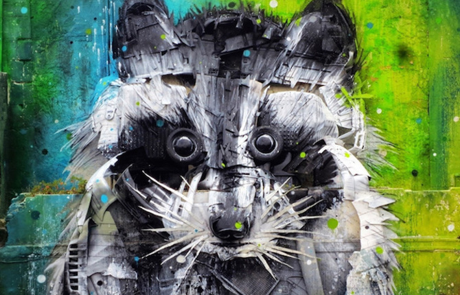 Big Raccoon 3D Street Art