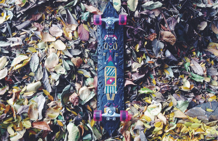 Traditional Indonesian Shield Turned into Skateboard