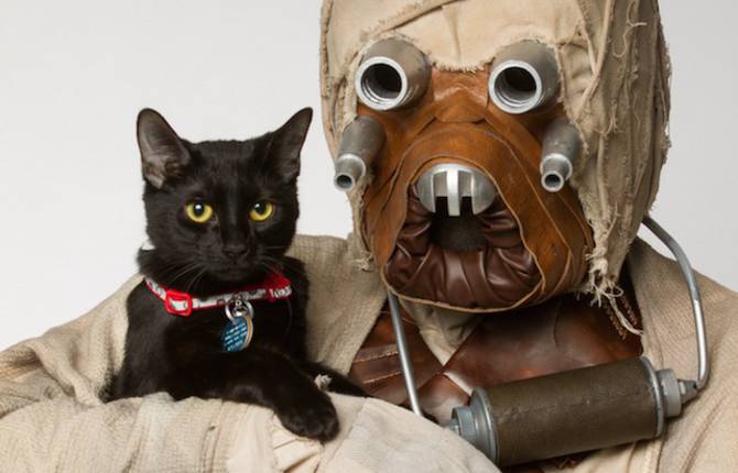 Star Wars Photo Shoot to Find Homes for Shelter Animals