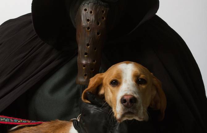 Star Wars Photo Shoot to Find Homes for Shelter Animals