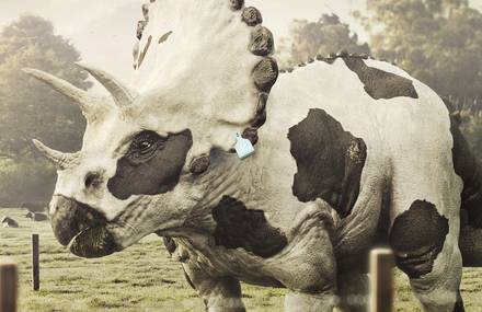 Triceracow