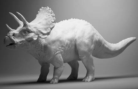 Triceracow