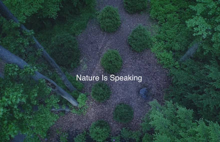 Nature is Speaking