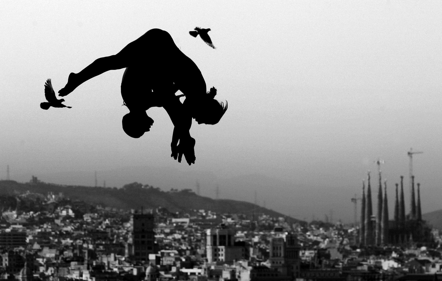 Synchronised divers fly with the pigeons