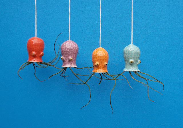 Ceramic-Cephalopod-and-Jellyfish-Air-Plant-Holders-2