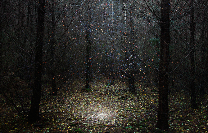 Forests Illuminated with Fields of Stars and Smoke