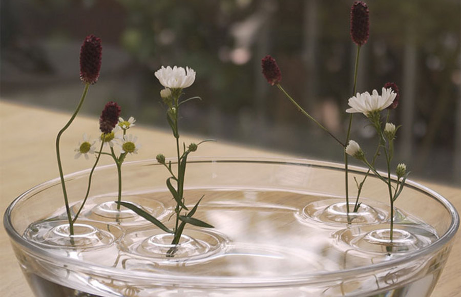 Delicate Floating Vases