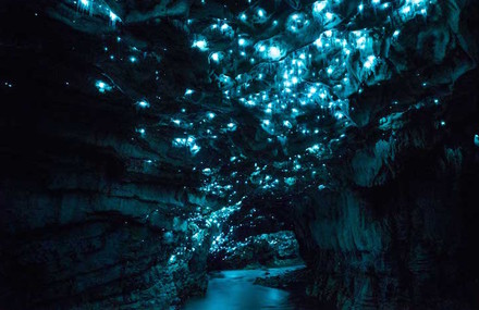 Magical Starry Sky in New-Zealand Cave