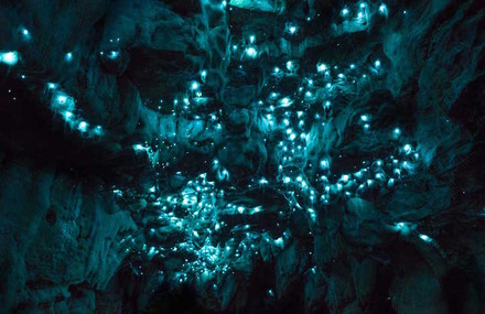 Magical Starry Sky in New-Zealand Cave