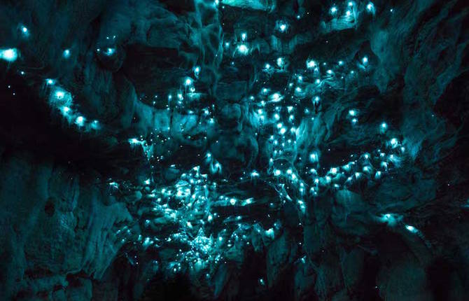 Magical Starry Sky in New-Zealand Cave