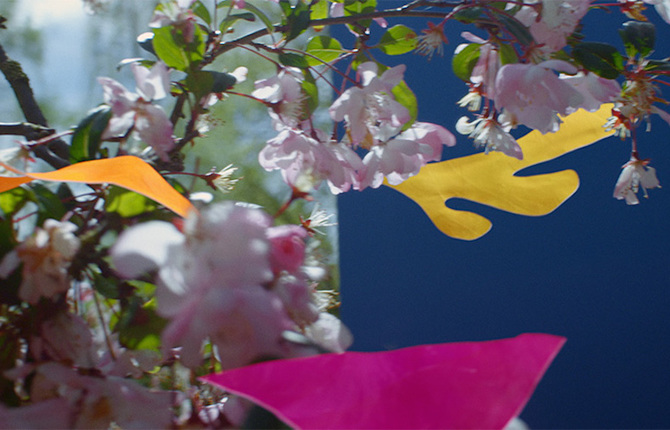 The Oasis of Matisse